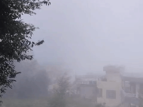 अल्मोड़ा में सोमवार सुबह धुंध छाई रही।