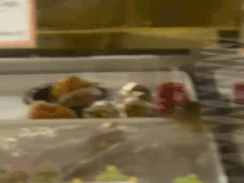 मिठाई के काउंटर में घूमता चूहा
