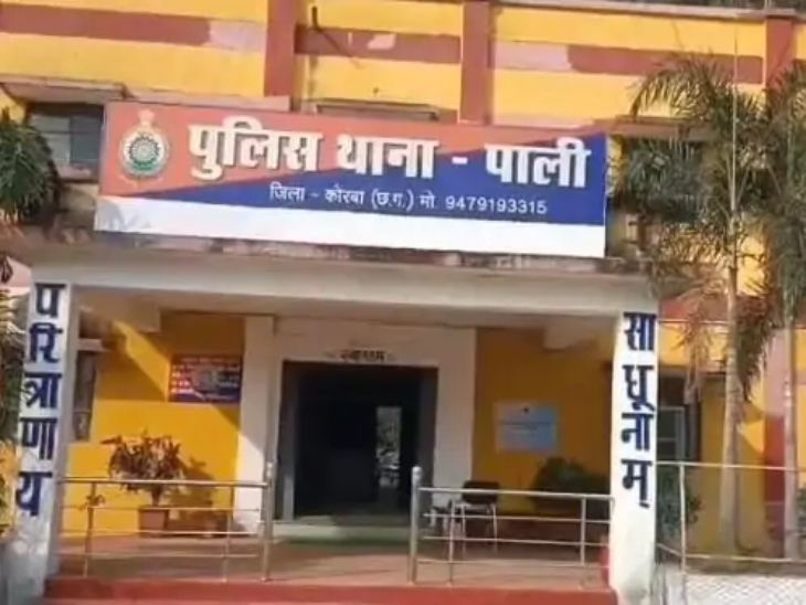 कोरबा पाली थाना पुलिस मामले की जांच में जुट गई है।
