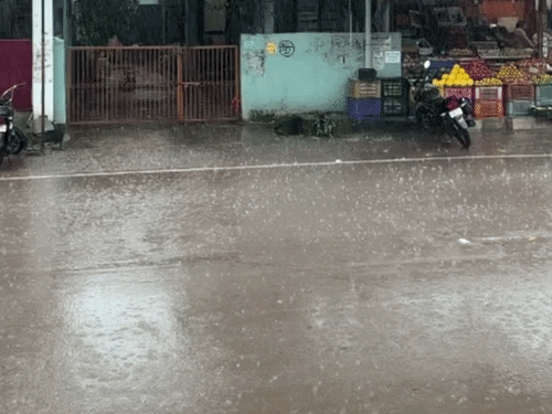 छत्तीसगढ़ के 30 जिलों में आंधी-बारिश का अलर्ट; 80 किमी की रफ्तार से हवा चलेगी|रायपुर,Raipur - Dainik Bhaskar