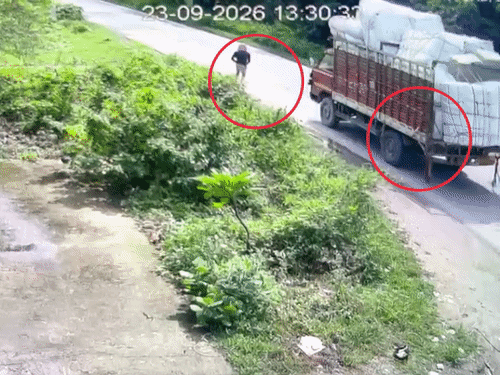 ट्रक के सामने शराब के आने पर ब्रेक लगाया।