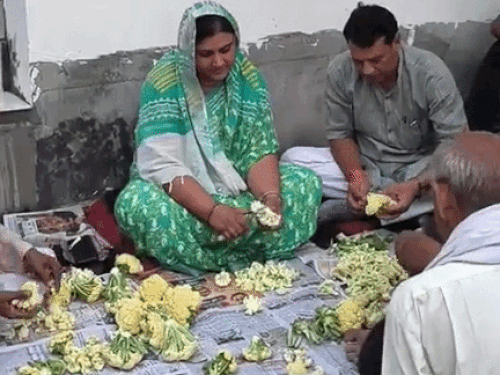 भरतपुर में बयाना विधायक ऋतु बनावत और उनके पति ऋषि बंसल धरने पर सब्जी काटते हुए। धरने में शामिल लोगों को भोजन कराया गया।