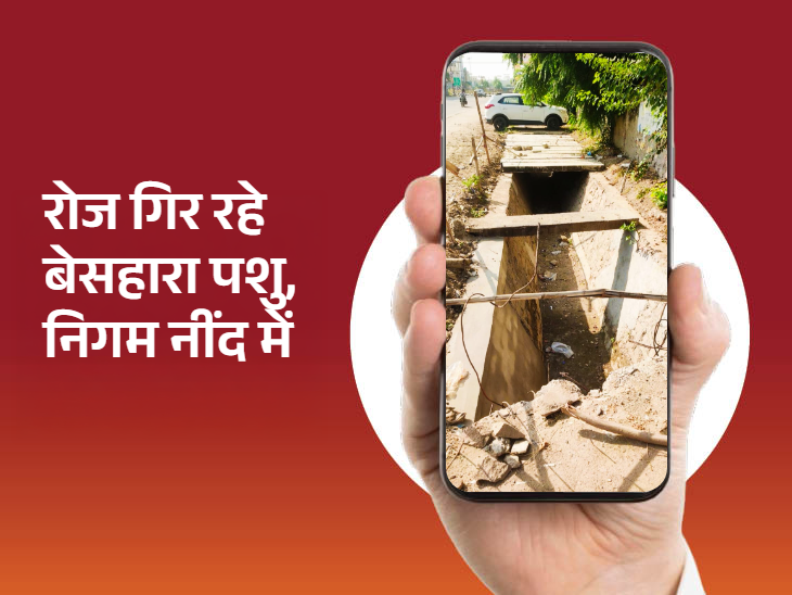 फैरो कवर न लगाने के कारण हर समय किसी ने किसी के गिरने का डर बना रहता है।