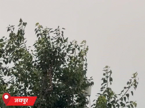 जयपुर में गुरुवार को हल्की हवा चली। तापमान में गिरावट हुई।