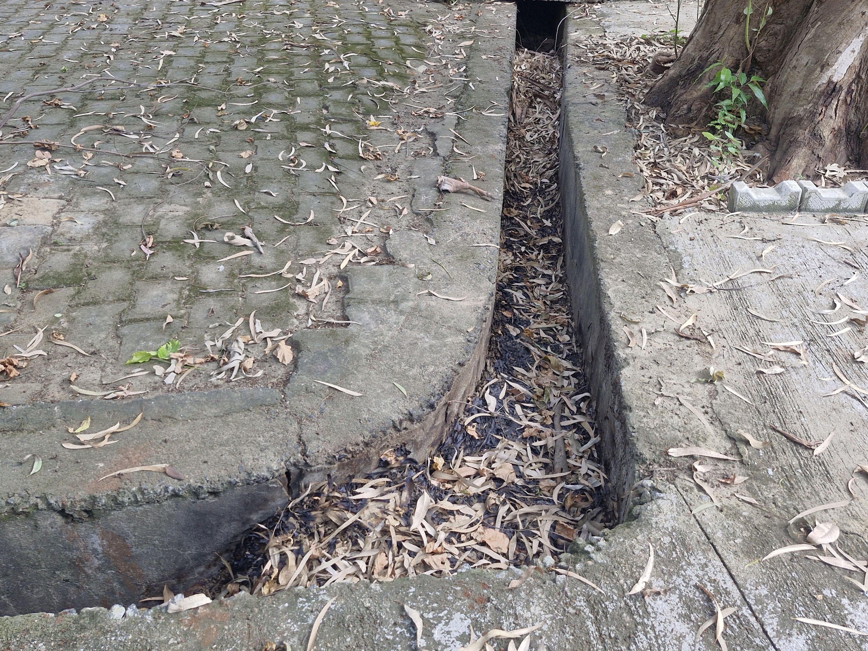 Jaswant Nagar Block Premises Drainage Blockage | Cleaning Complaint