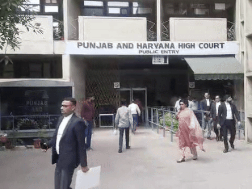 पंजाब एंड हरियाणा हाईकोर्ट।