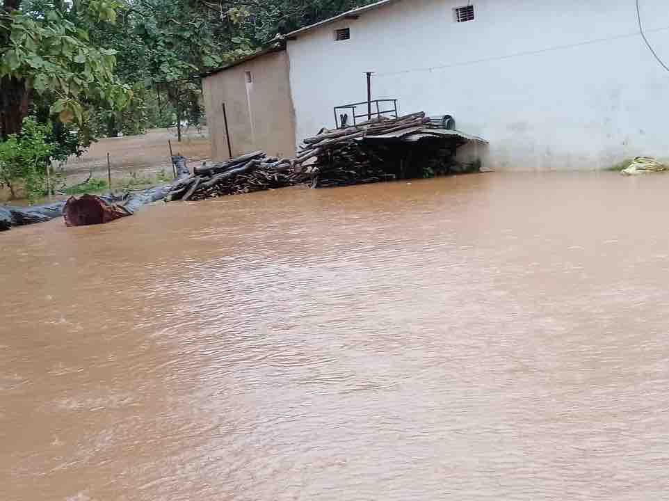 गिरदावरी के लिए नदी पार गए 2 पटवारी-RI 5 दिन से फंसे
