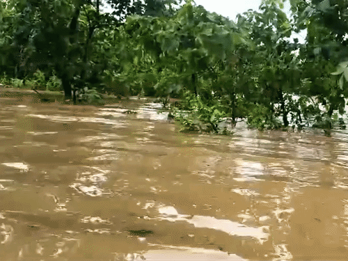 ओडिशा के मयूरभंज एक कार बाढ़ के पानी में बह गई। कार में सवार दो लोग 2 घंटे तक फंसे रहे। स्थानीय लोगों ने बचाया।