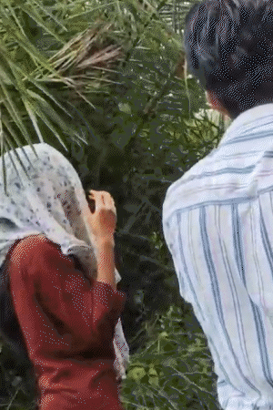 युवकों की बदसलूकी के बीच युवती दुपट्टे से अपना चेहरा छिपा लेती है।