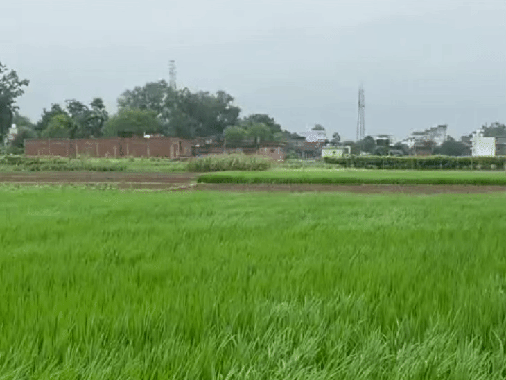 बारिश से तापमान में आई गिरावट।