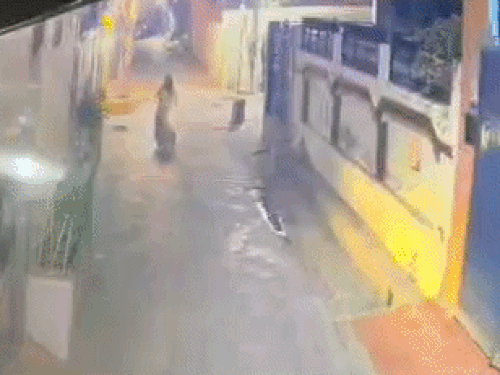 रोहतक में प्लॉट बेचकर मिली रकम रखी थी, CCTV में दिखे दो चोर|रोहतक,Rohtak - Dainik Bhaskar