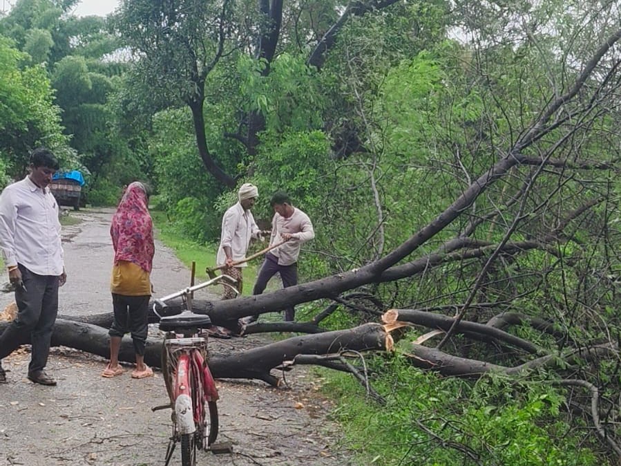 तेज हवा और बारिश होने से पेड़ और बिजली के पोल गिरा।