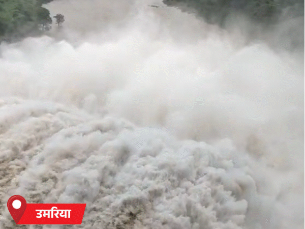 बरगी के 9 गेट खुले; जोहिला और बिलगांव डैम से भी छोड़ा जा रहा पानी|भोपाल,Bhopal - Dainik Bhaskar
