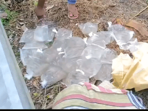 छापेमारी के दौरान नगालैंड-असम बॉर्डर से अवैध शराब जब्त की गई थी।