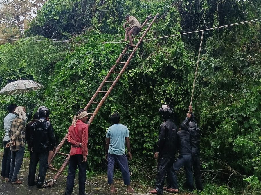 श्रावस्ती में आंधी-बारिश से बिजली व्यवस्था ध्वस्त, पेड़ गिरने से तार-पोल क्षतिग्रस्त। - Dainik Bhaskar