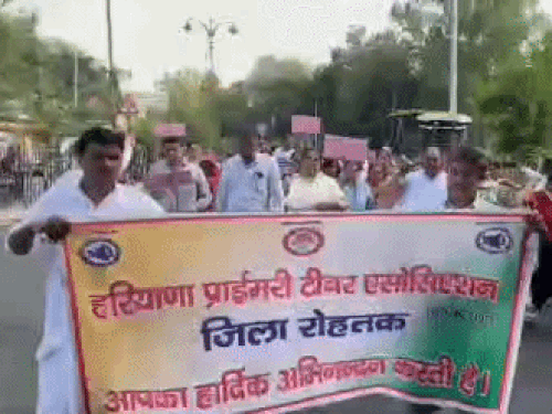 रोहतक में टीईटी के विरोध में प्रदर्शन करते प्राइमरी टीचर एसोसिएशन के सदस्य। - Dainik Bhaskar