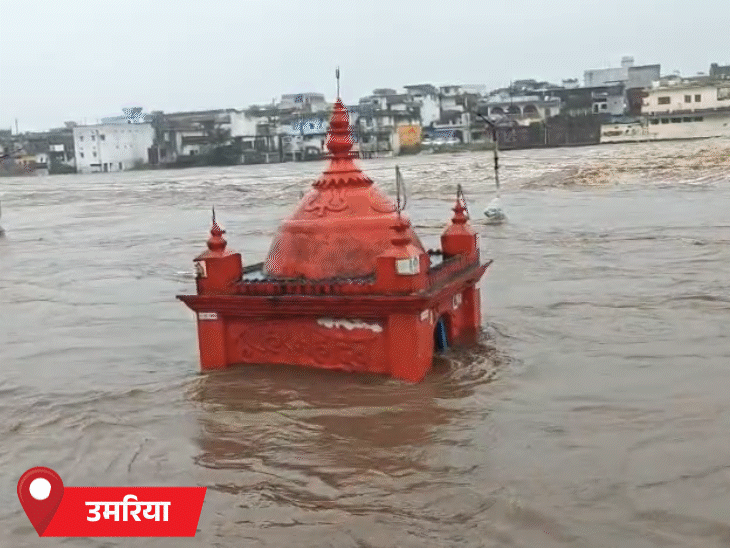 मध्यप्रदेश के उमरिया में पिछले तीन दिन से लगातार हो रही बारिश से नदियां उफान पर हैं।