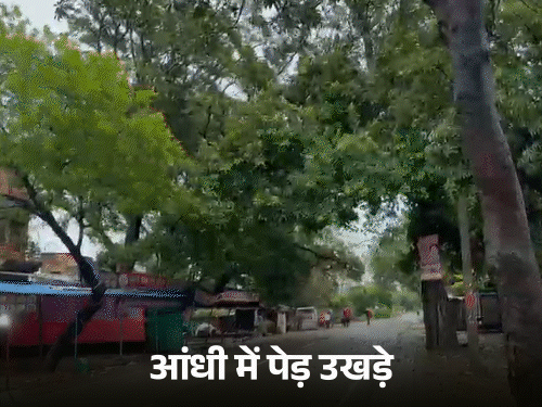 सीतापुर में आंधी और बारिश के बीच सैकड़ों पेड़ उखड़कर गिर गए। कई इलाकों में रास्ते बंद हो गए। सड़कों पर लंबा जाम लग गया।