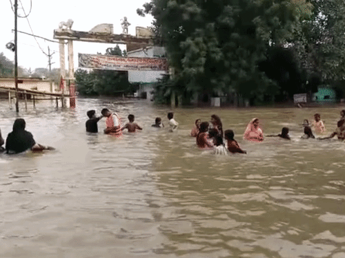 बलौदाबाजार के गिधौरी में महानदी का बाढ़ का पानी घुसा, लोग पानी में नहाते नजर आए थे।