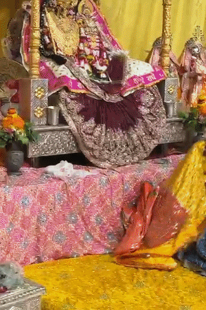 रविवार संध्याकाळी पंडित प्रदीप मिश्रा राधाराणी मंदिरात पोहोचले. त्यांनी हात जोडून राधाराणीचा आशीर्वाद घेतला.