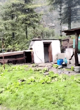 भूस्खलन के कारण कई घरों को नुकसान हुआ है।
