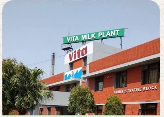 सिरसा वीटा प्लांट से रोजाना लगभग 30 से 35 हजार लीटर दूध डबवाली, फतेहाबाद, रतिया और पंजाब के मलौट और राजस्थान के गंगानगर और राजगढ़ एरिया में सप्लाई के लिए जाता है।