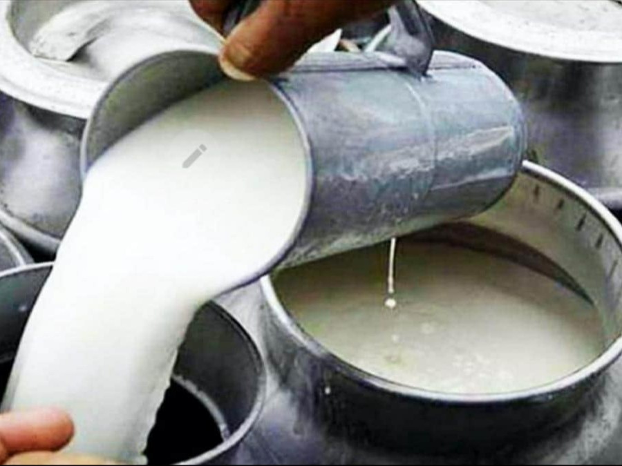 हरियाणा में प्रतिदिन औसतन 3.4 से 3.5 करोड़ लीटर दूध का कुल उत्पादन होता है।