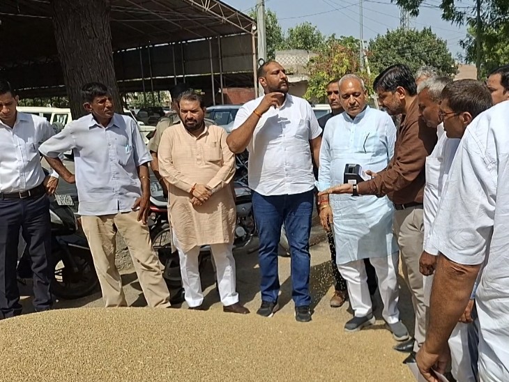 हिसार की मंडी में फसल का जायजा लेते कैबिनेट मंत्री रणबीर गंगवा।