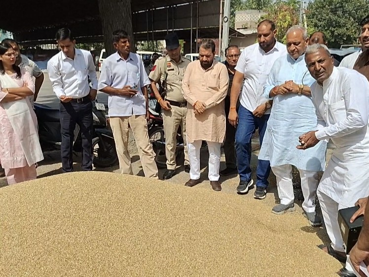 हिसार की नई अनाज मंडी का जायजा लिया; कांग्रेस को बताया मुद्दाविहीन पार्टी|हिसार,Hisar - Dainik Bhaskar