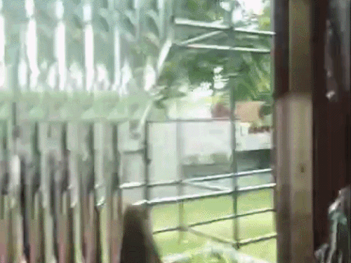 एकता बंसल के परिवार ने ये वीडियो पुलिस को दिया था, जिसमें आरोपी लाठी-डंडे लिए हुए हैं।