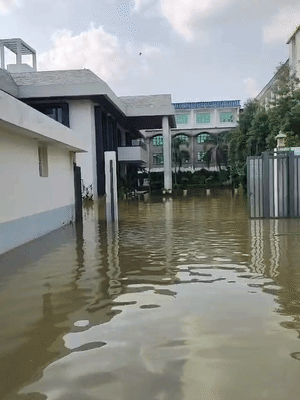 मेहरबान सिंह पुरवा में पूर्व सांसद सुखराम सिंह यादव के निवास के अंदर पांडू नदी का पानी भरा।