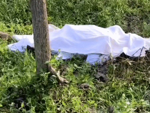 जेधर गांव में खेतों में मिला था इरफान का शव।