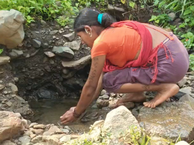 बिरसा ब्लॉक में बच्चों की मौत की वजह नाले के पानी को भी कहा जा रहा है।
