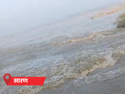 बगहा में घर में घुसा मगरमच्छ; 6 जिलों में बाढ़, 2.03 लाख आबादी प्रभावित|पटना,Patna - Dainik Bhaskar