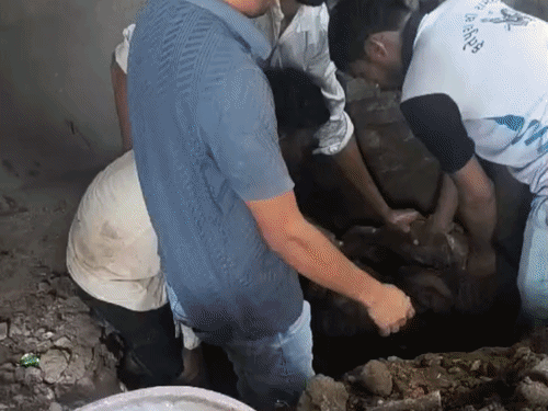 आरोपियों ने शव को सीमेंट से सील करके जमीन में दफना दिया था। - Dainik Bhaskar