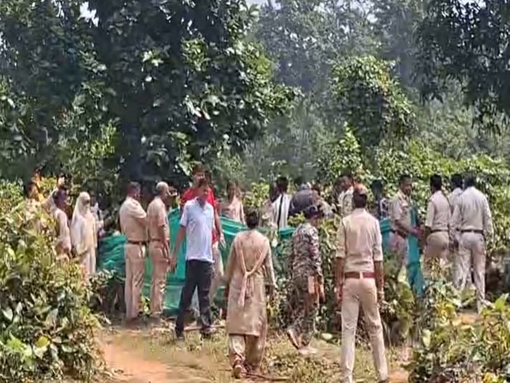 घटना की सूचना मिलने पर वन विभाग के वरिष्ठ अधिकारी और कर्मचारी मौके पर पहुंचे।