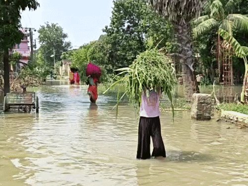 बिहार के सारण में मुख्य तटबंध टूटने से गंडक नदी का पानी ग्रामीण इलाकों में पहुंच गया है।