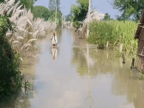 यूपी के गोंडा में घाघरा नदी खतरे के निशान से 26 सेमी ऊपर बह रही है। 30 गांव टापू में तब्दील हो गए हैं।