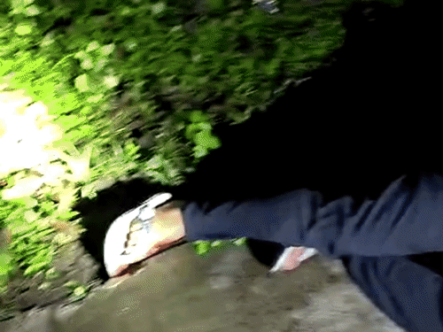 आरोपी को पकड़ते समय पुलिस ने उसके पैर में गोली मार दी थी।