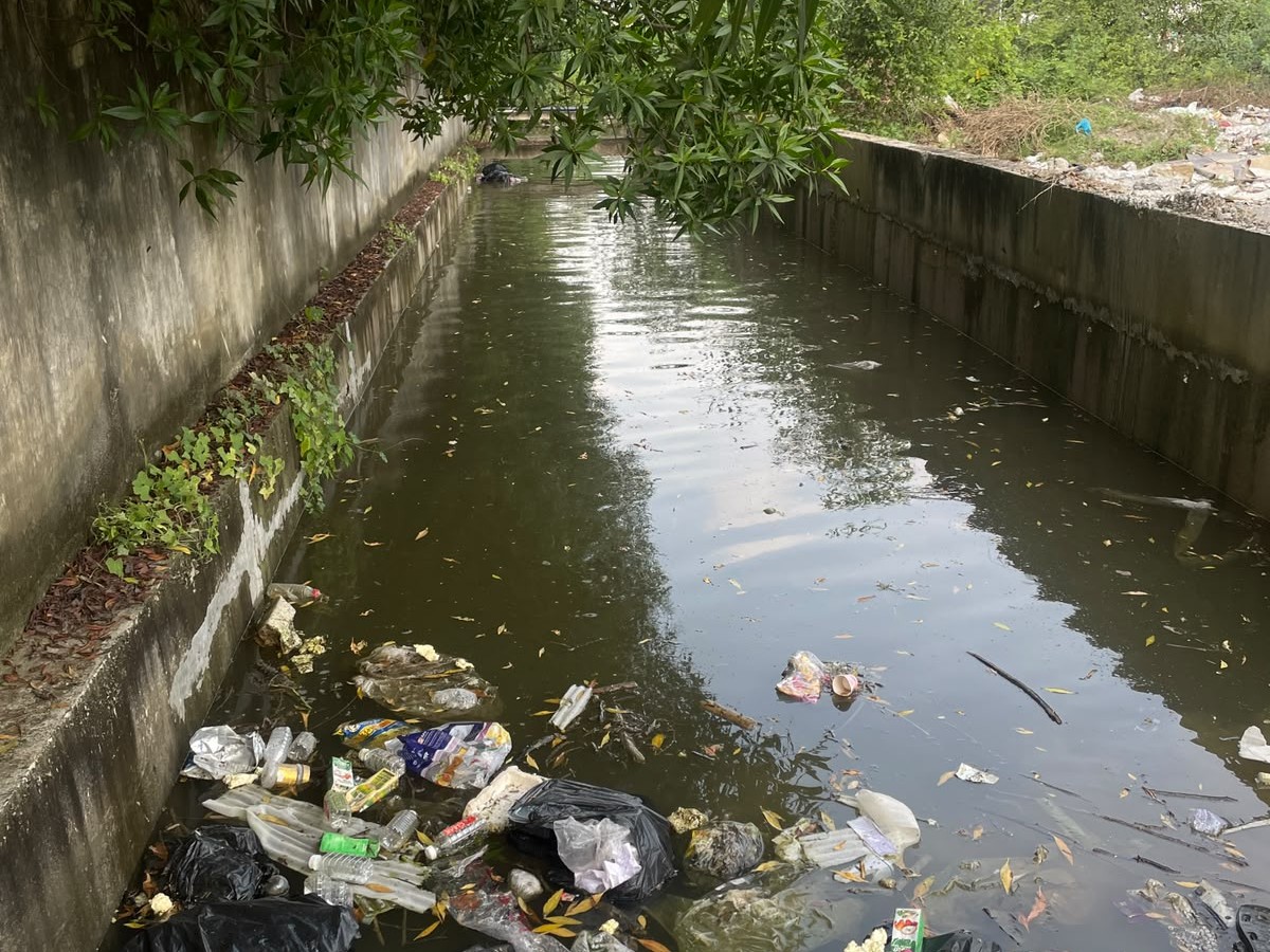 एसोसिएशन ने मांग की है कि आपदा प्रबंधन और राहत-बचाव टीमों के संपर्क नंबर सोसाइटी को उपलब्ध कराए जाएं।