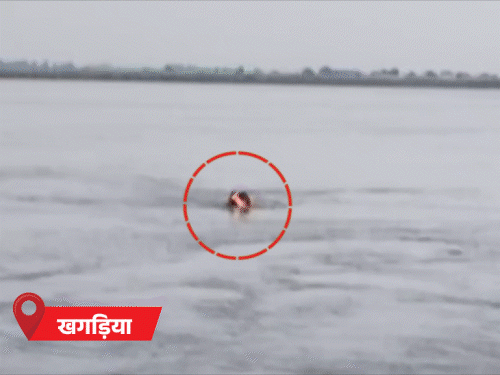 466 गांव डूबे, 8 लाख की आबादी पानी से घिरी; नासा ने गंडक की तस्वीर जारी की|पटना,Patna - Dainik Bhaskar