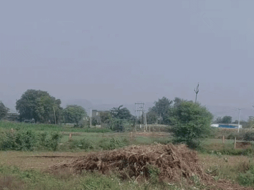 अक्टूबर की शुरुआत से बदला मौसम का मिजाज; अगले 7 दिन बारिश की संभावना नहीं|अलवर,Alwar - Dainik Bhaskar