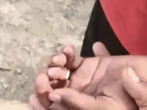 मौके से कारतूस के दो खोल मिले हैं।