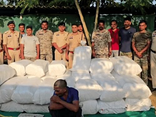 पुलिस जांच में ट्रक से बरामद गांजे के 597 पैकेट।