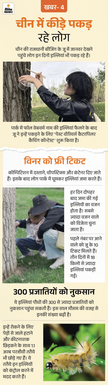 खबर हटके- सरकार करवा रही कर्मचारियों की डेटिंग: हनुमान चालीसा सुनाकर बच्चे को सुलाती है चीनी मां; मैक्सिको में 8 इंच का कमांडो डॉग 4 update 1791167403379