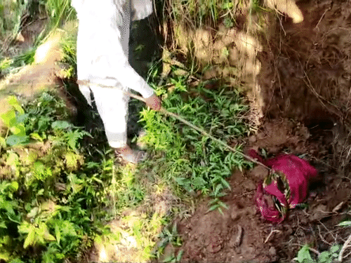 वसीम का कटा सिर झाड़ियों के पास एक गड्ढे में दफन मिला।