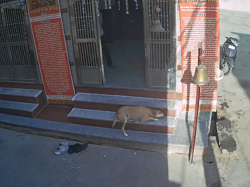 आरोपी युवक चोरी करके मंदिर से बाहर जाते हुए नजर आ रहा है।