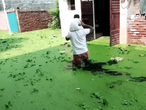 तस्वीर लखनऊ के फैजुल्लागंज इलाके की है। बाढ़ के बीच बच्चे को कंधे पर बैठाकर गुजरता हुए एक शख्स।