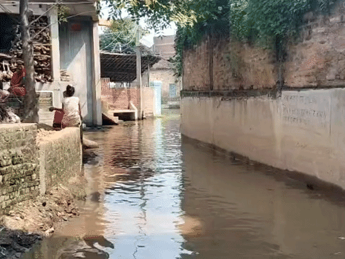 गंगा और गंडक नदी में बढ़े जलस्तर के चलते बिहार के वैशाली जिले के निचले इलाकों में बाढ़ की स्थिति बनी हुई है।