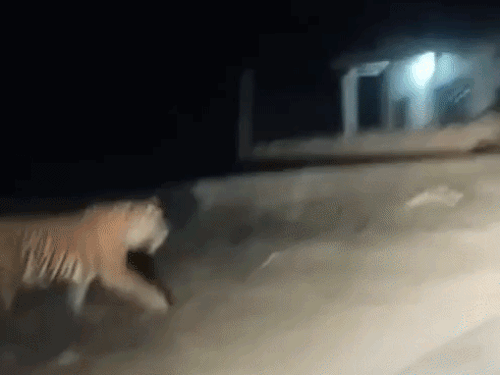 सड़क पर दिखा तो वाहनों के थमे पहिए, पुलिस ने लोगों को किया सावधान|अलवर,Alwar - Dainik Bhaskar